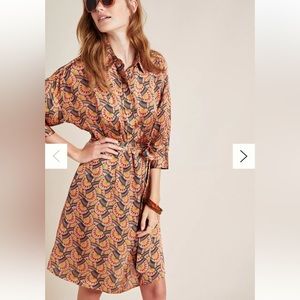 Anthropologie Eva Franco Edeline abstract shirtdress